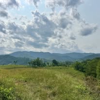 Sandy Bottom Trail Rides LLC NC