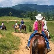 Sandy Bottom Trail Rides LLC NC
