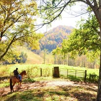Sandy Bottom Trail Rides LLC NC