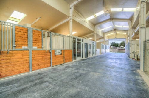 Ranch Hand needed at Horse Boarding Facility in Las Vegas, NV