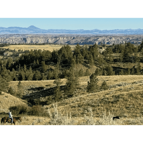 Slivka Ag Inc. Montana