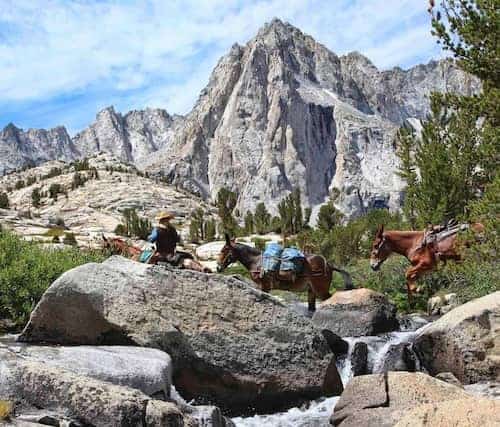 Pine Creek Pack Station & Sequoia Kings Pack Train