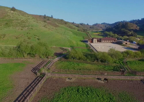 Show Groom needed at Equestrian Ranch in Southern California