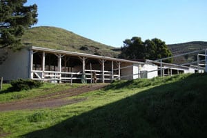 Presidio Riding Club CA