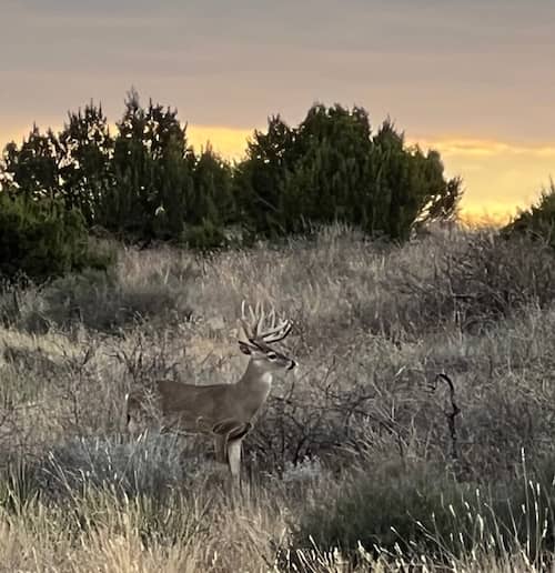 Private Texas Ranch