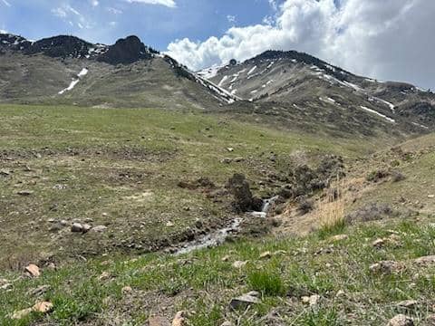 PU Ranch Idaho