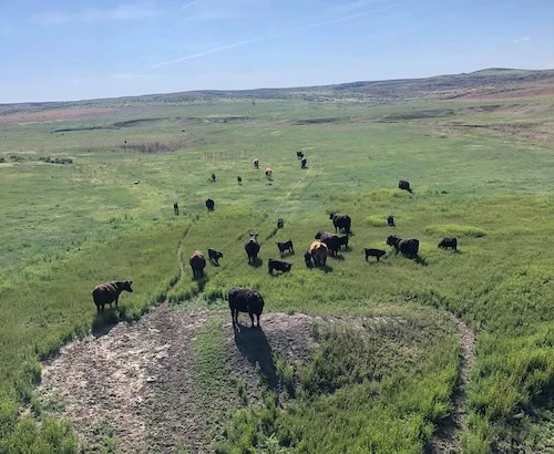 Raichart Ranch Nebraska