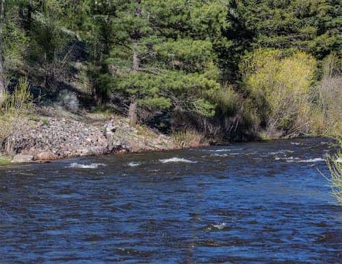 Rainbow Trout Ranch - Colorado