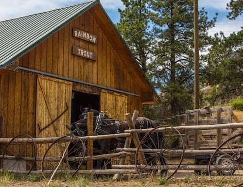 Rainbow Trout Ranch - Colorado