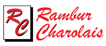 Rambur Charolais Ranch Montana