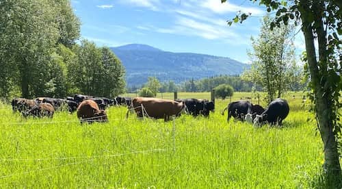 Ramstead Ranch WA