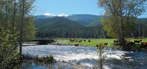 Lolo MT Ranch