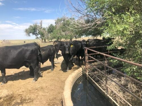Eads Colorado Ranch