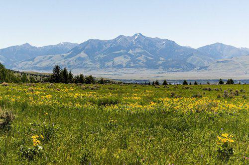 Mountain Sky Guest Ranch