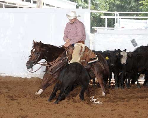 Rifle Creek Ranch NM