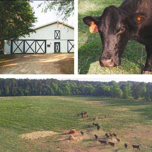 River Road Farm VA