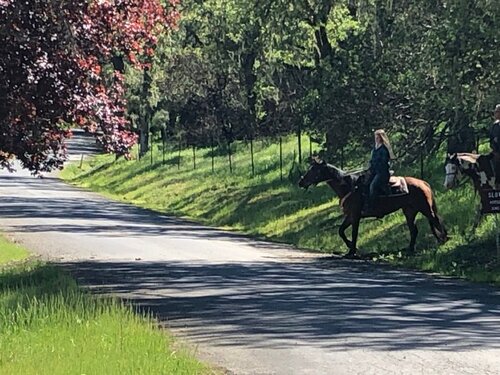 R-Ranch at the Lake