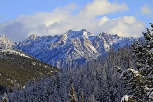 Royal Antler Ranch Views