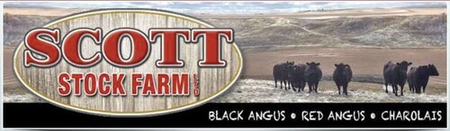 Scott Stock Farm - Alberta Canada