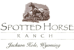 Spotted Horse Ranch logo