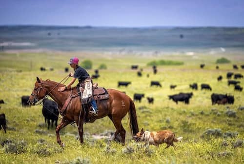 Skeleton Springs Ranch WY