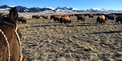 Snowcrest Ranch - MT - Ted Turner