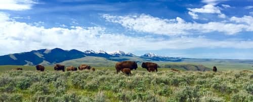 Snowcrest Ranch - MT - Ted Turner