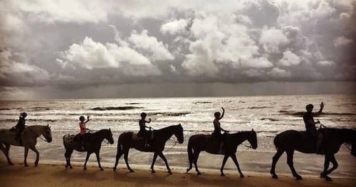 The Stables at Frederica - St. Simons GA