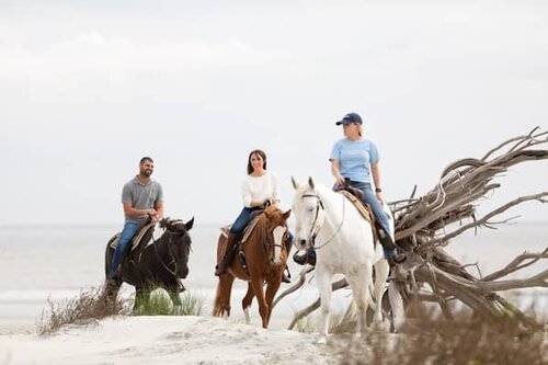 The Stables at Frederica - St. Simons GA