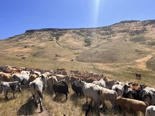 Stack Rock Ranch Idaho