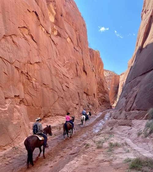 Staircase Stables Utah