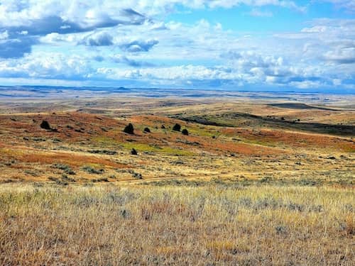 Stoddard Ranch MT