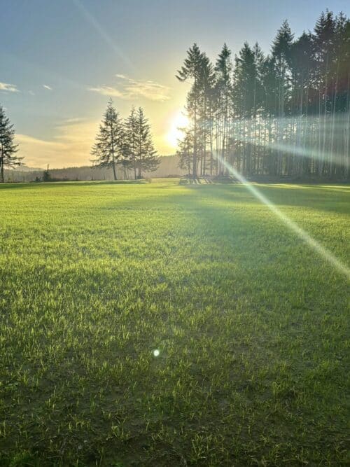 Springford Farm BC Canada