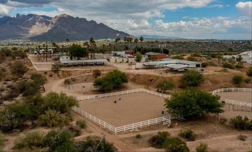 Sunkist Stables AZ