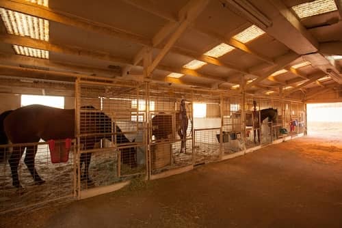 Sunkist Stables AZ