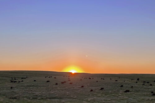 Lazy TV Ranch SD