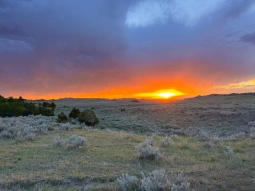 Jewel Ranch MT