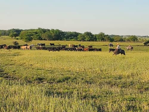 SW Missouri Ranch