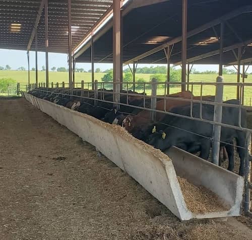 SW Missouri Ranch