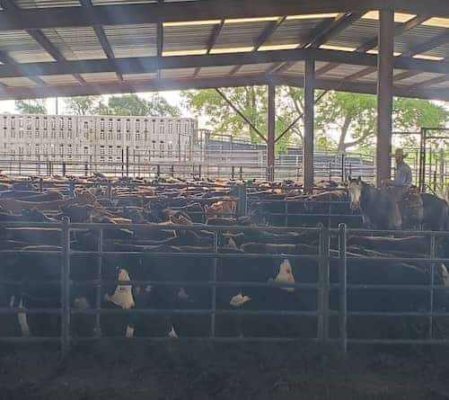 SW Missouri Ranch