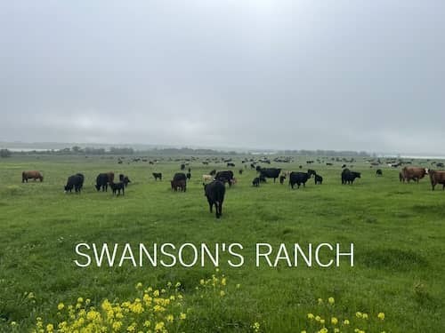 Swanson's Ranch - Alberta, Canada