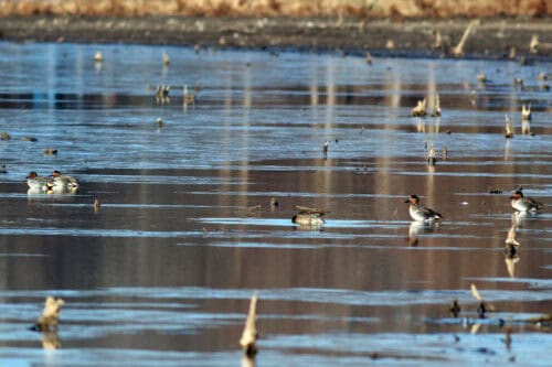 private hunting and fishing Club near Dallas TX
