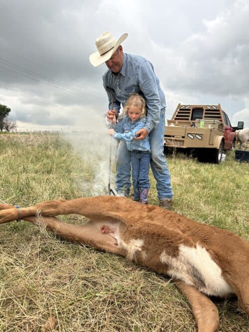 Messenger Cattle Co