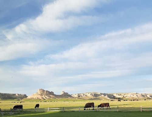 Thaler Land & Livestock Co. - Wyoming