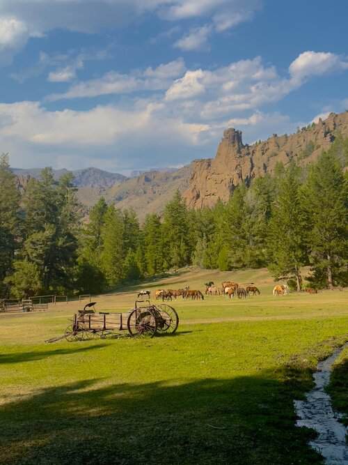 Wrangler needed at Dude Ranch in Cody, Wyoming ~ near Yellowstone ...