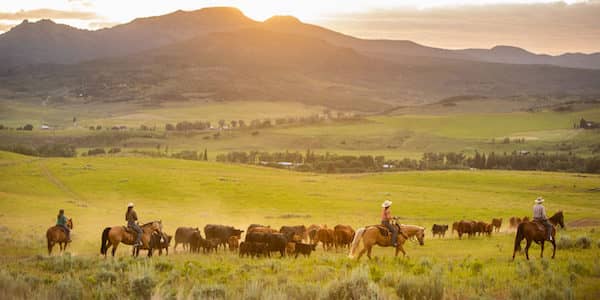 The Home Ranch - Colorado