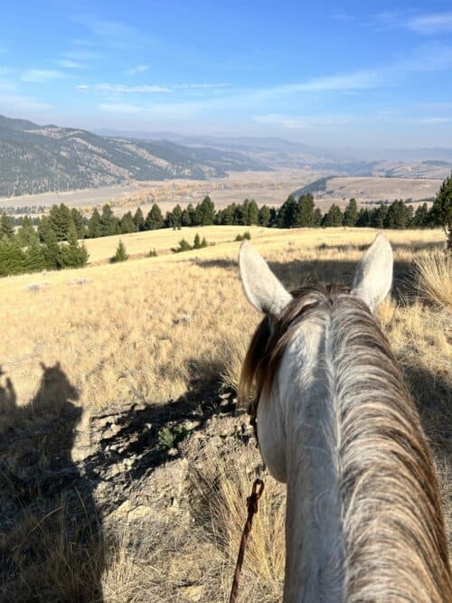 Ranch at Rock Creek MT