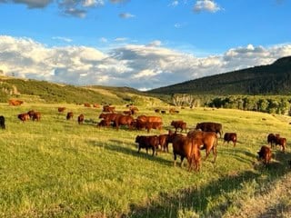 SW Colorado Ranch