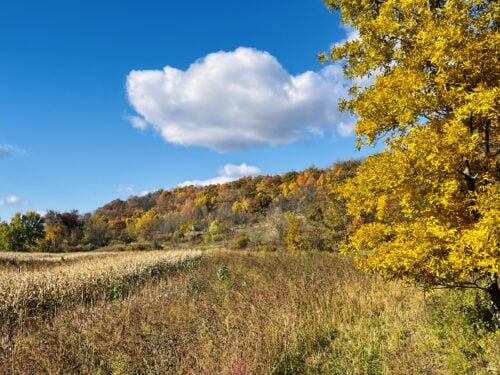 Point and Flush Sportsman Club - Wisconsin