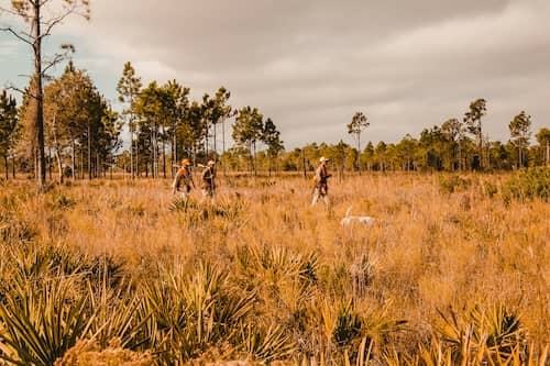 Thundercloud Ranch FL